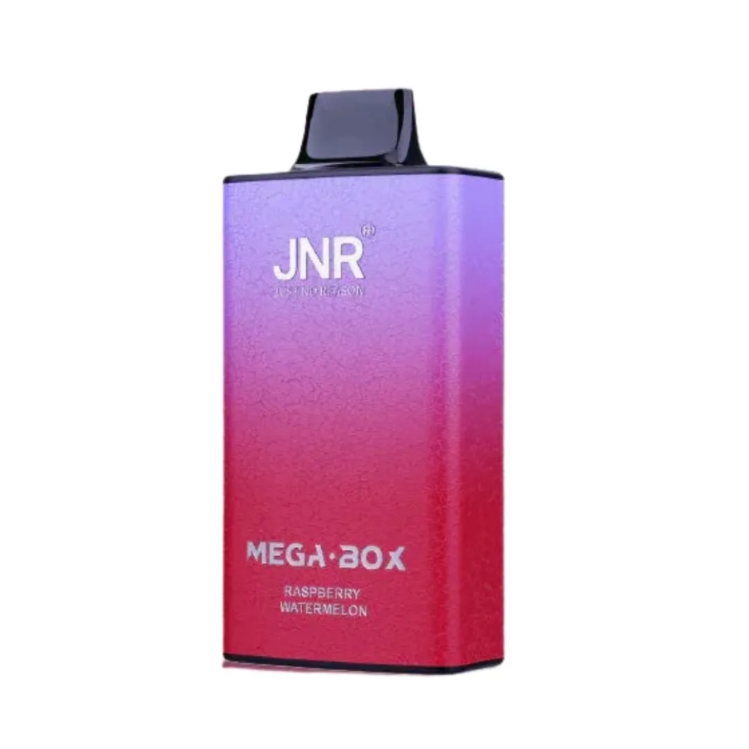 JNR Mega Box 25000 Puffs Disposable Vape